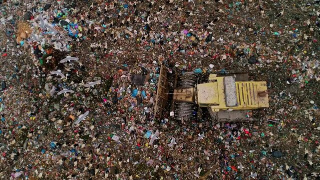 This video shows birds, including seagulls and storks, scavenging in a city landfill while garbage trucks unload waste. Ideal for themes related to ecology and environmental issues.