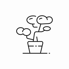bonsai tree icon sign vector
