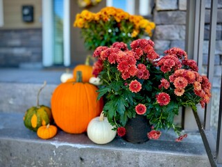 Pumpkin and chrysanthemums on the porch for Halloween