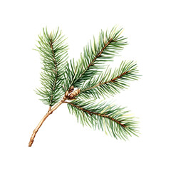 Elegant watercolor fir branches illustration with a festive touch