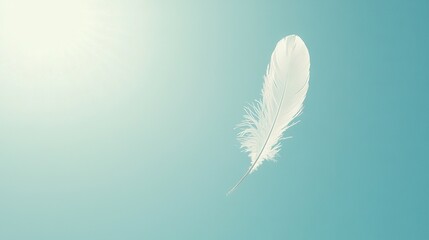 Obraz premium A white feather soaring above a clear blue sky, bathed in warm sunlight