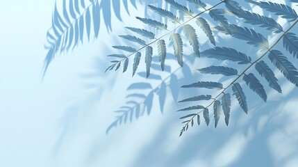  A close-up of a leaf on a blue background with shadows of leaves on the left side of the frame