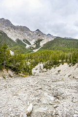 Fototapeta premium Zernez, Ofenpass, Bach, Ova dal Fuorn, Wanderweg, Uferweg, Passstrasse, Engadin, Nationalpark, Alpen, Herbst, Herbstfarben, Graubünden, Schweiz