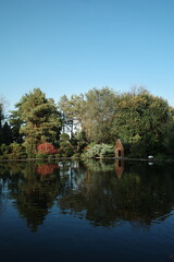 Fototapeta premium pond with reflection