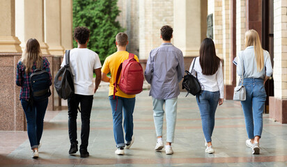 Obraz premium College friends walking together in hall after studies, having break, back view