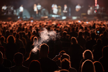Crowd of people in front of the stage during the concert.