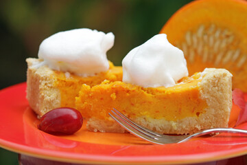 Homemade from the son, american pumpkin pie 