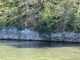 River in the forest.