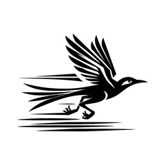 Obraz premium roadrunner faster roadrunner faster logo