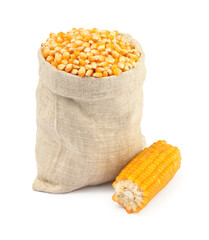 Fresh corn kernels in burlap sack and corncob isolated on white