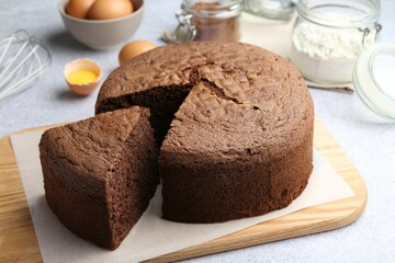 Cut chocolate sponge cake and ingredients on light table, closeup
