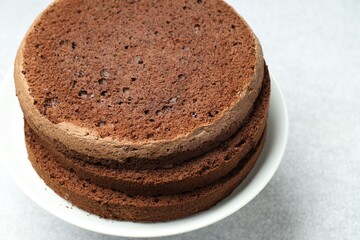 Cut chocolate sponge cake on light table, closeup
