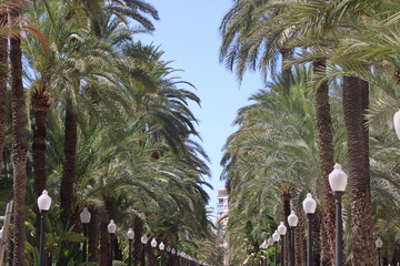 Alicante, España