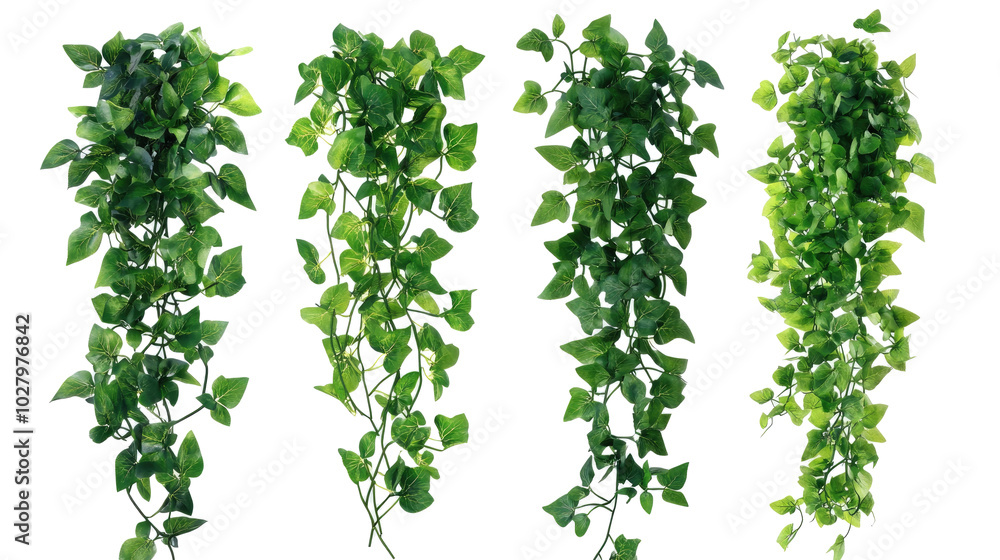 Aufkleber set of climbing vines displayed against a white background generative ai