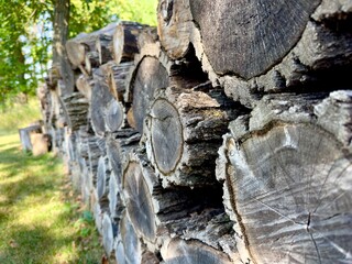 A pile of cut trees in a village