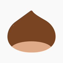  Chestnut vector illustration isolated on white background