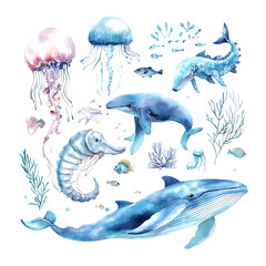 Watercolor sea life illustrations with ocean fish, jellyfish, and whales