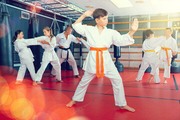 Young boy in kimono posing in gym while other kids sparring in background during karate group...