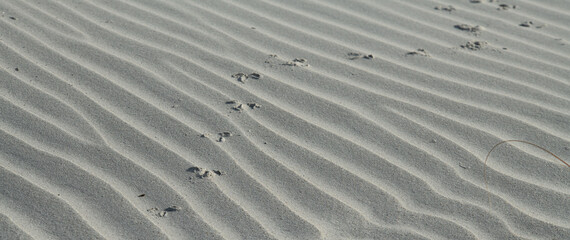 footprints in the sand