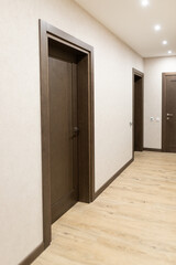 Modern interior design showcasing a sleek apartment hallway with elegant doors and warm wooden flooring in a contemporary setting