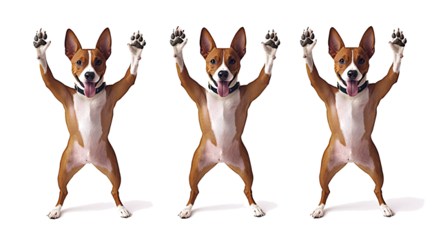Dogs Joyfully Give High Fives Against a Clean White Background Generative AI