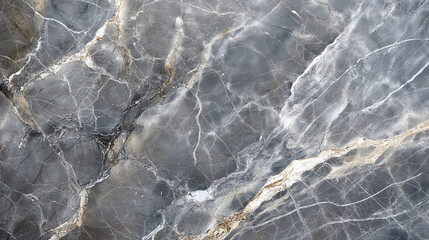 Obraz premium Luxurious Dark Marble Background with Intricate White Veins