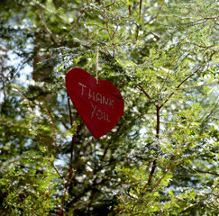 Thank you heart on tree