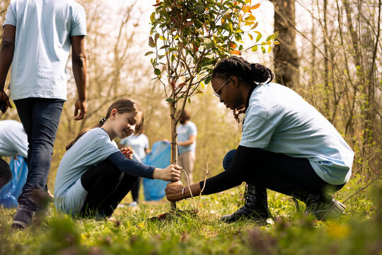 Two diverse girls working together to plant more seedlings and greenery, filling up ground holes and growing vegetation. Child and teenager collaborating on protecting the forest ecosystem.