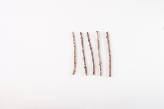 Five sticks of varying lengths arranged in parallel on light background, part of process to make star made from twigs, festive ornament, natural design, holiday decor, DIY,