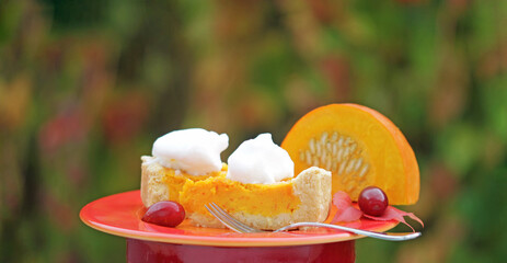 Homemade from the son, american pumpkin pie 