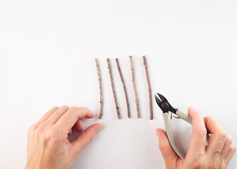 Hands cutting twig with pruning shears, twigs arranged above, Christmas tree DIY holiday...