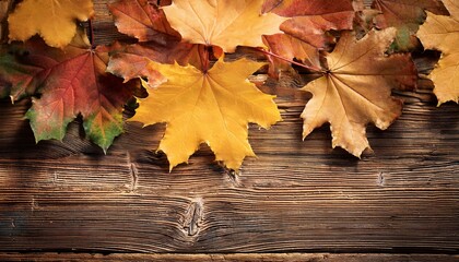 Obraz premium autumn background with maple leaves on antique barn wood