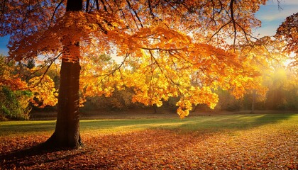 autumn colorful bright leaves swinging in a tree in autumnal park autumn colorful background fall backdrop
