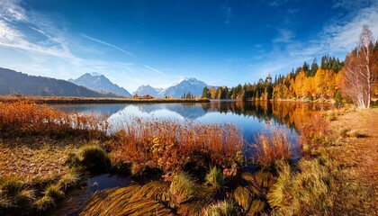 Naklejka premium breathtaking autumn scene of schiederweiher pond
