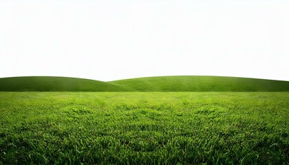 Obraz premium green grass field isolated
