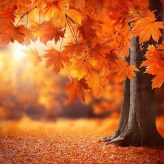 orange fall leaves autumn natural background with maple trees autumnal landscape