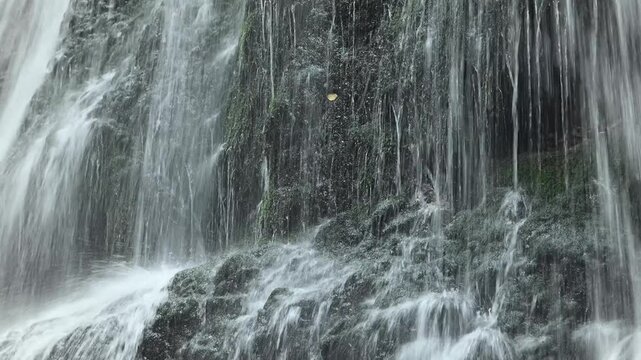 Closeup of a waterfall flowing over mossy stones, Josefsthaler Wasserf&auml;lle