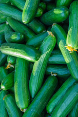 Top view of recently harvested cucumbers background