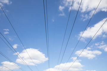Fototapeta premium power lines and sky