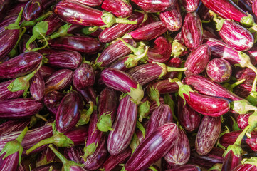 Fresh eggplant on market counter