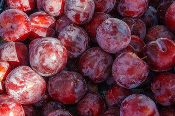 Full frame shot of plums