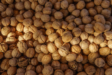 Full frame shot of walnuts