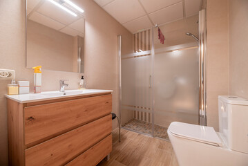 Conventional toilets usually include a variety of accessories and complements to improve the comfort and functionality of the space