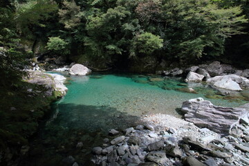 Fototapeta premium 安居渓谷 荒男谷の自然景観 （高知県 仁淀川町）