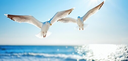 Two seagulls soaring over the ocean against a bright blue sky.