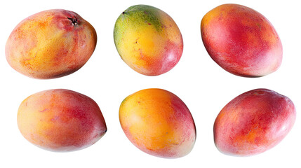 Fresh Mango Fruits Displayed in a Collection on a White Background Generative AI
