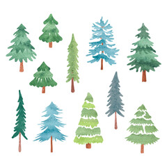 Pine tree and fir tree set. Vector hand drawn Christmas watercolor illustration