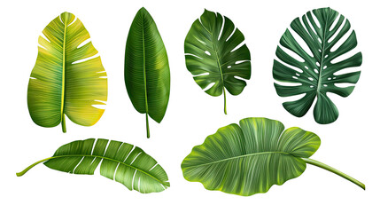 Collection of Palm Tree Leaves Isolated Against a White Background Generative AI