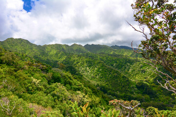 Views of the Koolau mountains and ridges from a hiking trail above Manoa Valley in Honolulu on the island of Hawaii. 