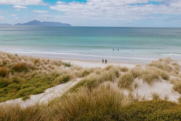 Sandunes, tussock grass and calm ocean surf of Mangawhai Heads Beach, Mangawhai, Northland, New Zealand.